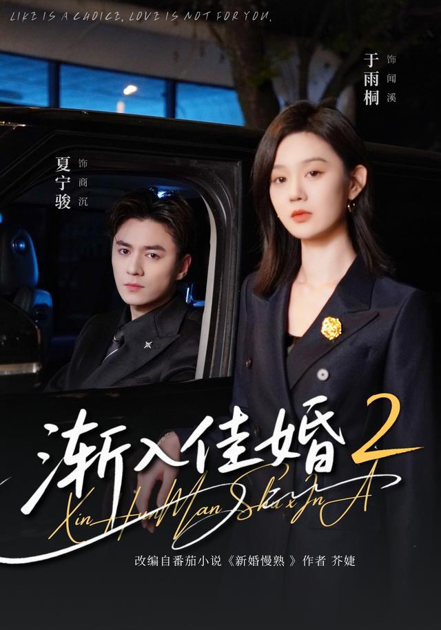 渐入佳婚2海报